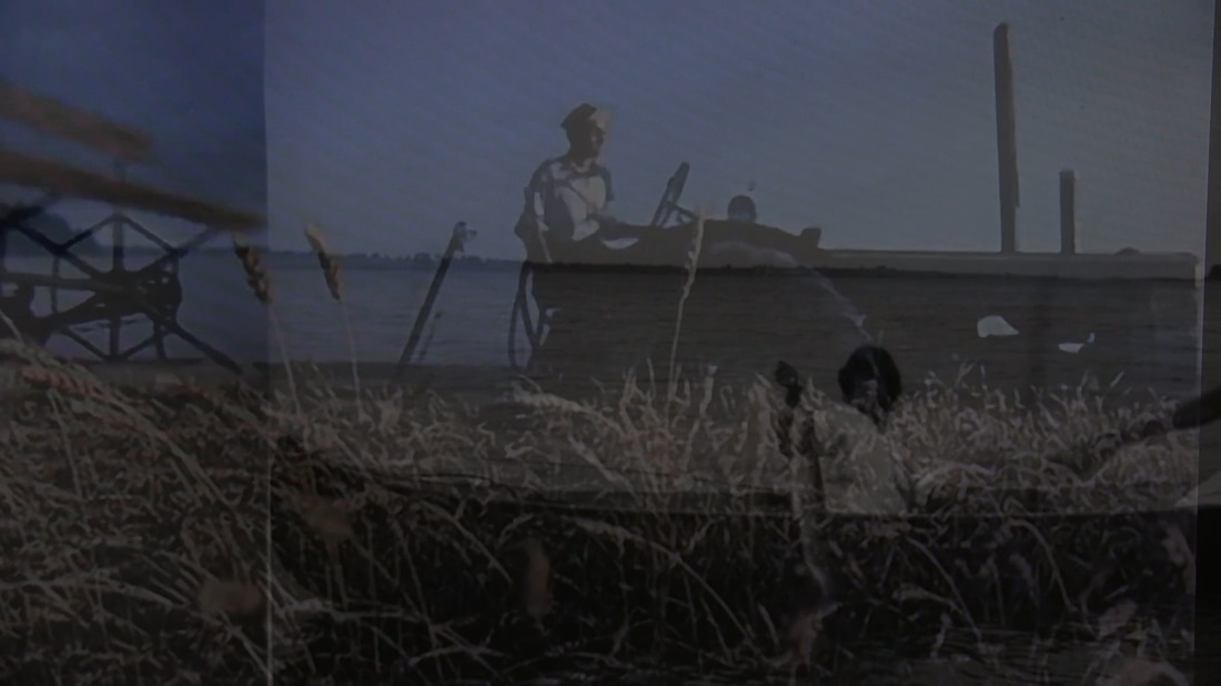 Detail, Land, Shannon Taylor